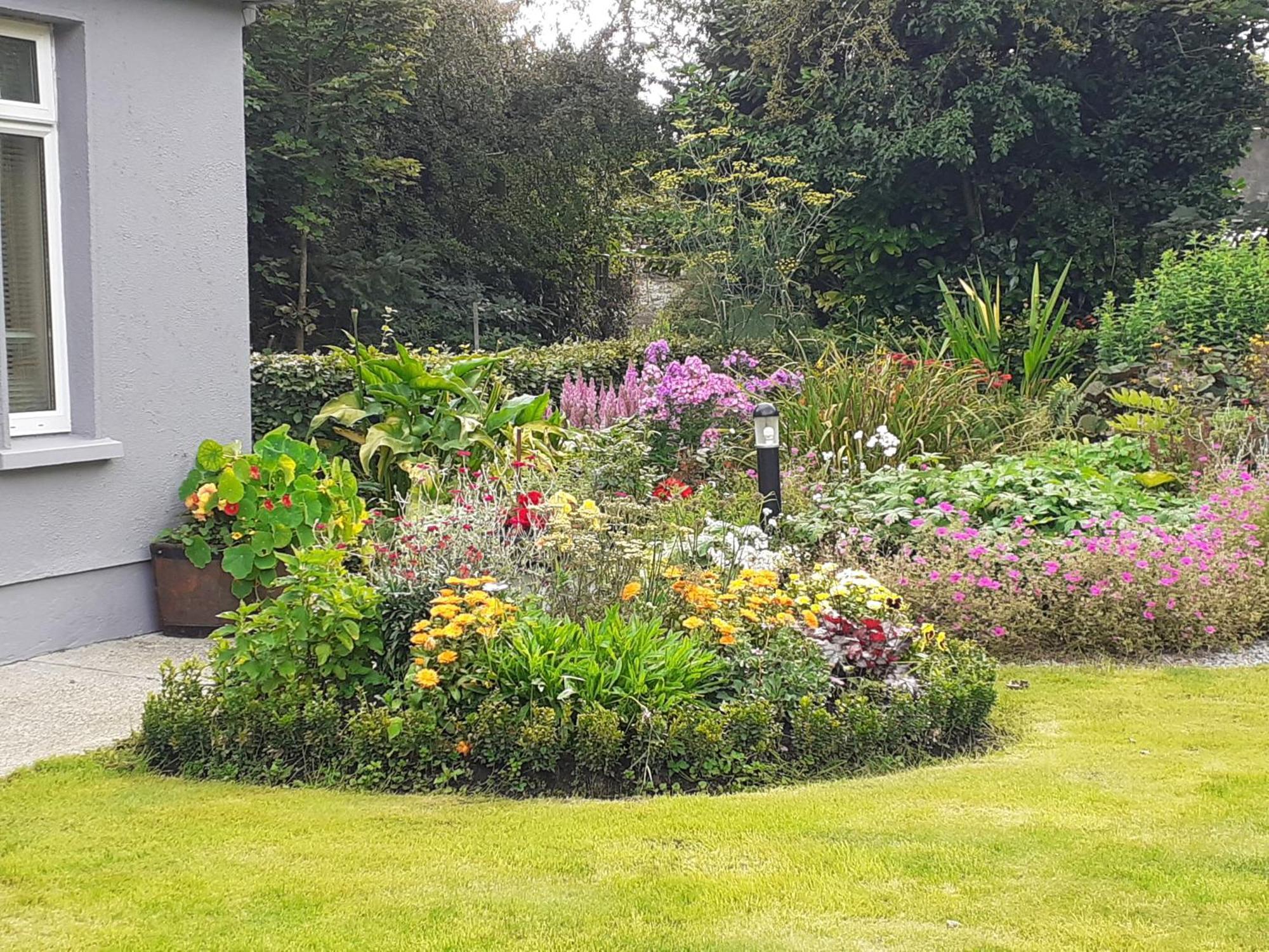 Conways B&B Claremorris Eksteriør billede