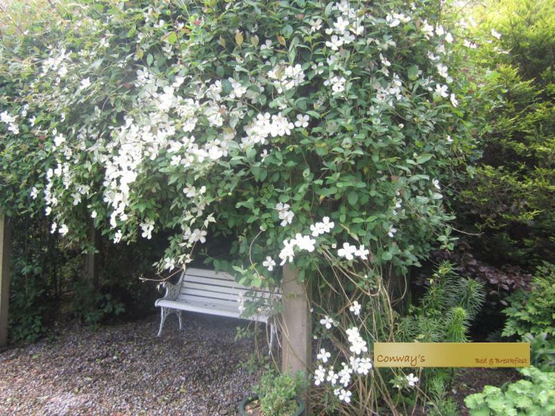 Conways B&B Claremorris Eksteriør billede