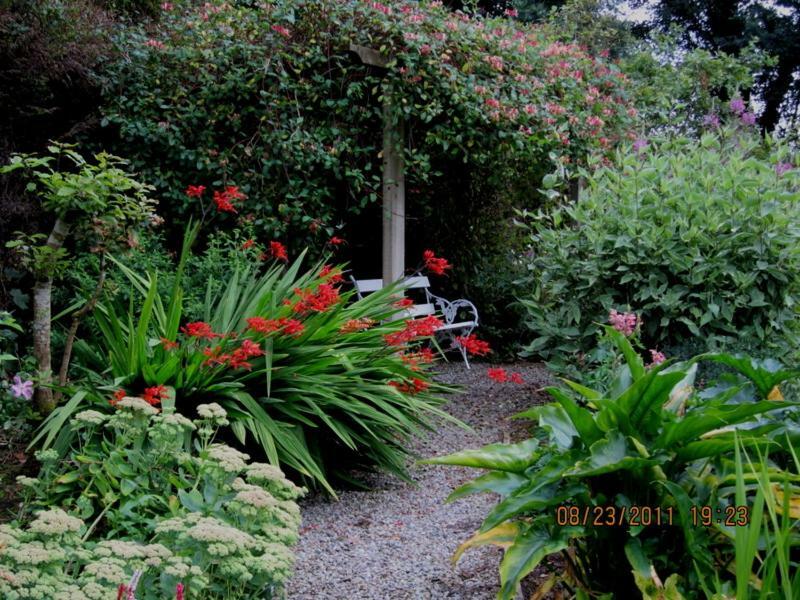 Conways B&B Claremorris Eksteriør billede
