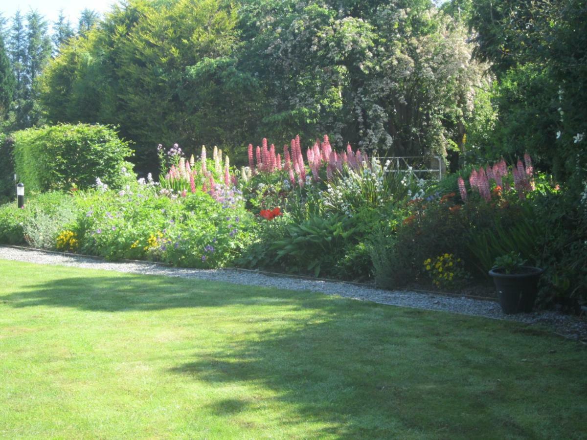 Conways B&B Claremorris Eksteriør billede